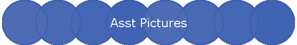 Asst Pictures